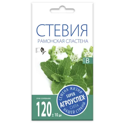 РАМОНСКАЯ СЛАСТЕНА