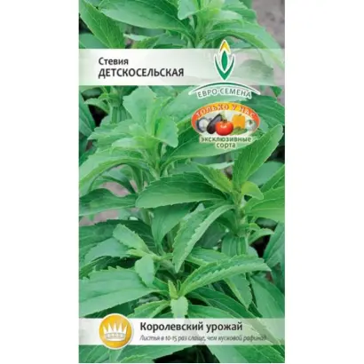 ДЕТСКОСЕЛЬСКАЯ