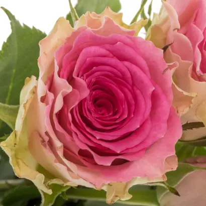 ТАЙМС СКУЕР