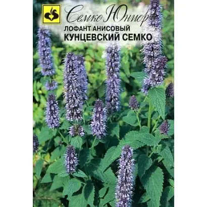 КУНЦЕВСКИЙ СЕМКО