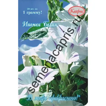 БЕЛАЯ ЛЕБЕДЬ