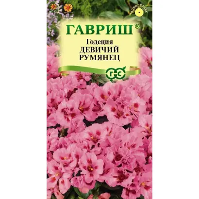 ДЕВИЧИЙ РУМЯНЕЦ