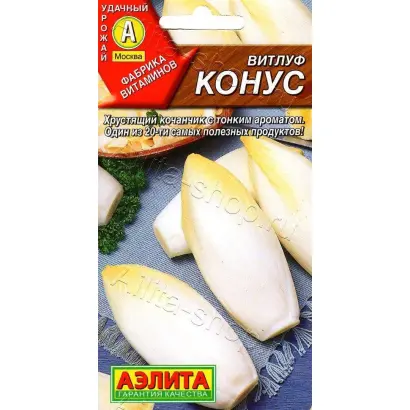 КОНУС