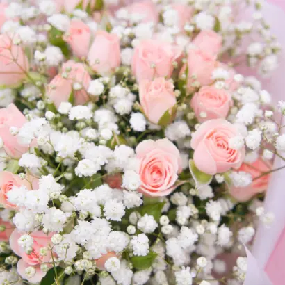 РОЗОВОЕ КРУЖЕВО