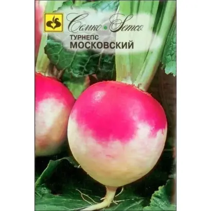 ЭСТИ НАЭРИС