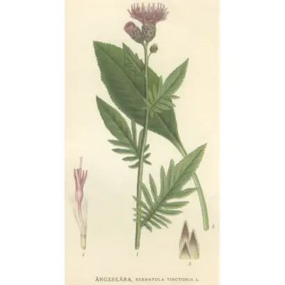 УСТЬ-СЫСОЛЬСКАЯ