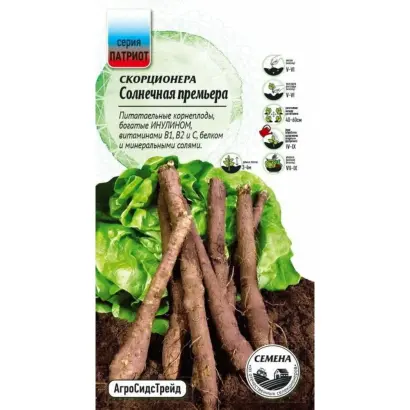 СОЛНЕЧНАЯ ПРЕМЬЕРА