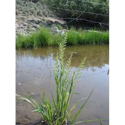 НАРЫМСКАЯ 2