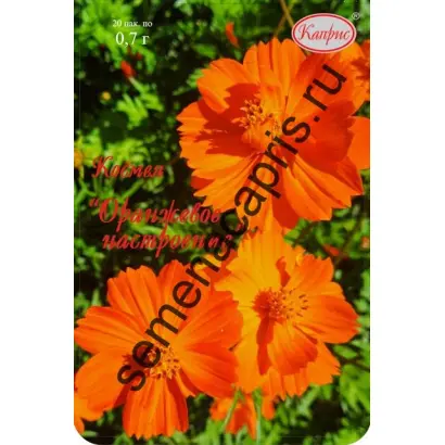 ОРАНЖЕВОЕ НАСТРОЕНИЕ