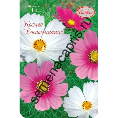 ВОСПОМИНАНИЕ