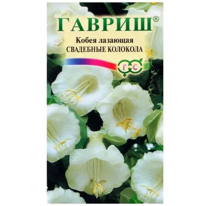 СВАДЕБНЫЕ КОЛОКОЛА