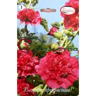 ГОРДОСТЬ САДА