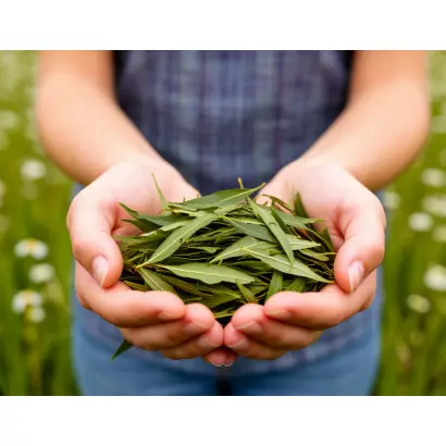 ВОЛОГОДСКИЙ