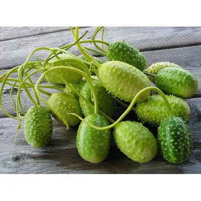 ДИЕТИЧЕСКИЙ