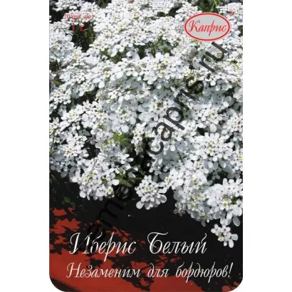 СНЕЖНЫЙ КОВЕР