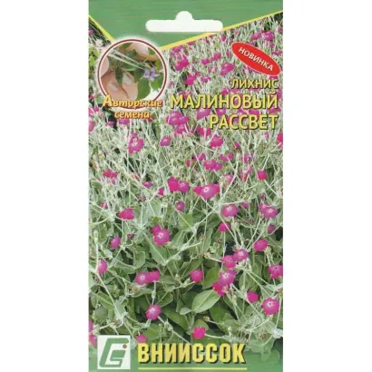 МАЛИНОВЫЙ РАССВЕТ