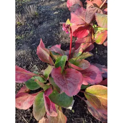 КРАСОТЫ КУЗБАССА