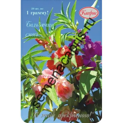 РОЗОВЫЕ ГРЕЗЫ