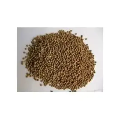 Белоцерковская 33 / Білоцерківська 33