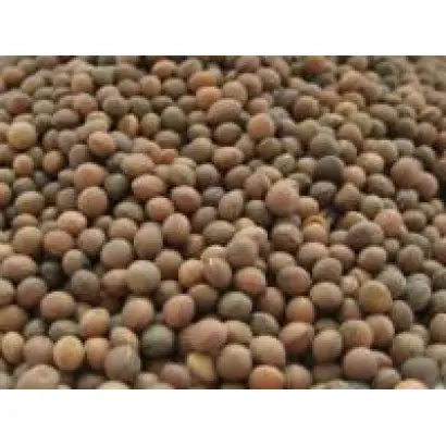 Белоцерковская 34 / Білоцерківська 34