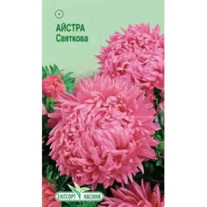 Праздничная / Празднічна