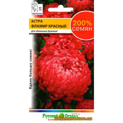 Фламир красная / Фламір червона