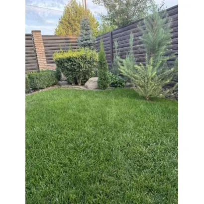 ZEPTOR / ЦЕПТОР