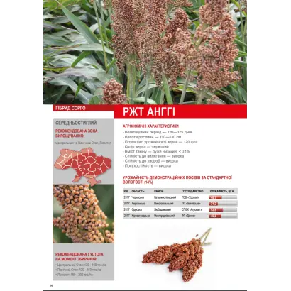 Одеський 333