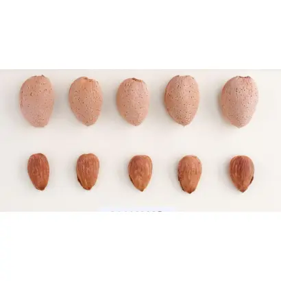 MAKAKO / МАКАКО