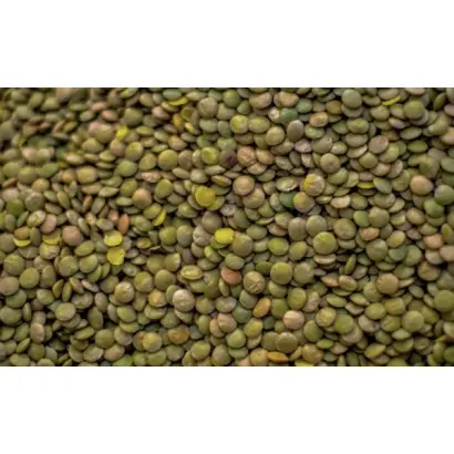 ЄС Максимум