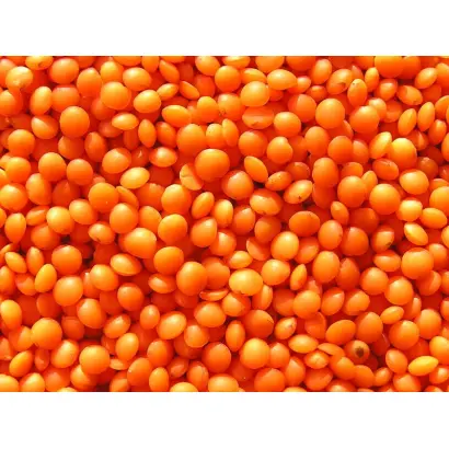 Красноградська 100