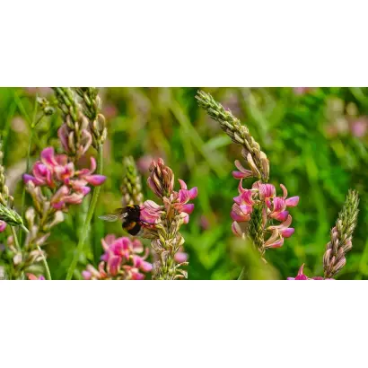 Кіровоградський 22