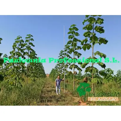 ZE PRO / ЗЕ ПРО