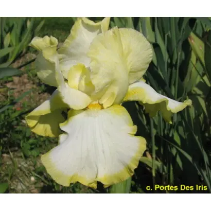 Истер тайм / Істер Тайм