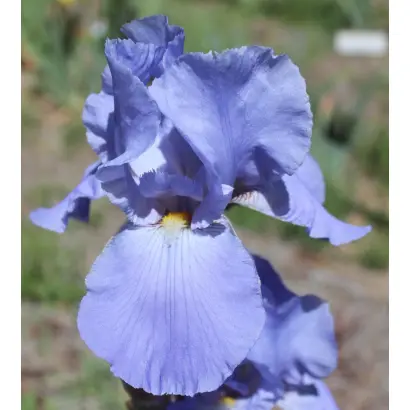 Сиерра Скайс / Сьерра Скайз