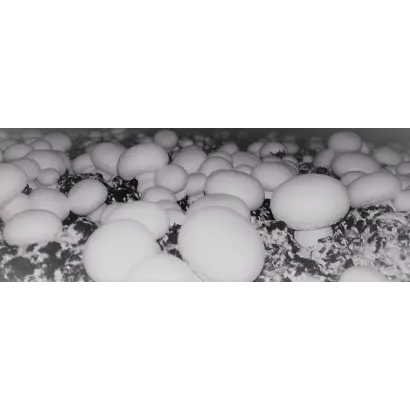 Euromycel E58 / Євроміцель Е58