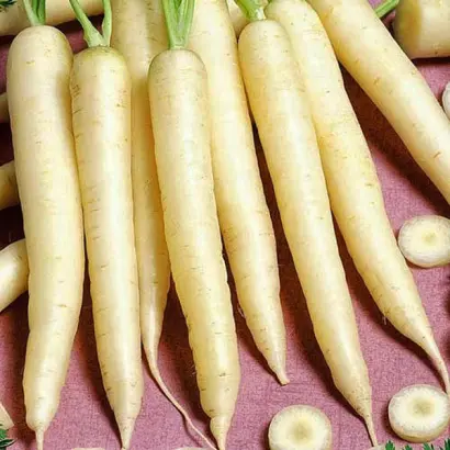 Creampak / Крімпак