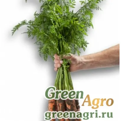 55-200 RZ F1 / 55-200 РЗ F1