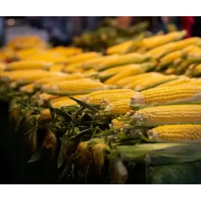 Accentuate / Акцент