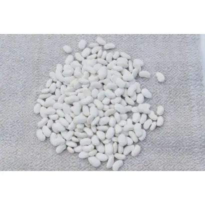 Білосніжка