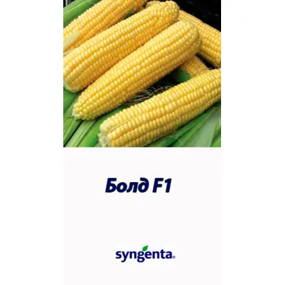 Bold F1 / Болд F1