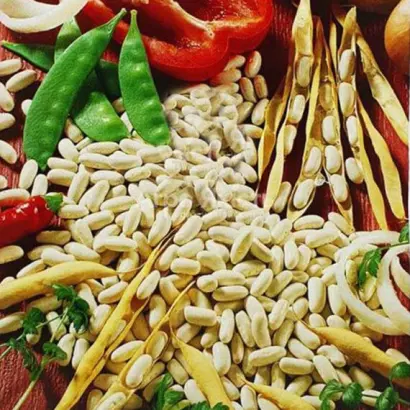 Cannellino / Каннелліно