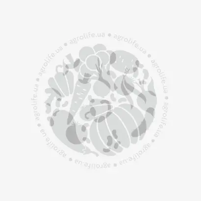 Caramelo / Карамело