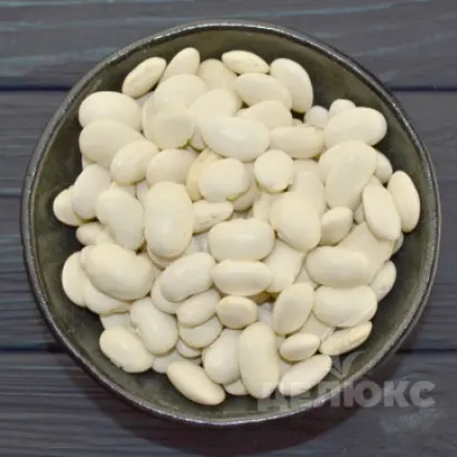 Contada / Контада