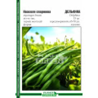 Delfina / Дельфіна