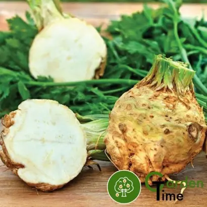 Diamant / Діамант