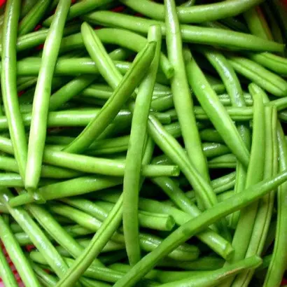 ESCADRON / ЕСКАДРОН