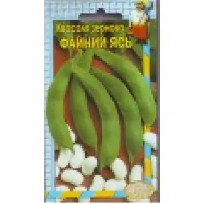 Fascine / Фестін