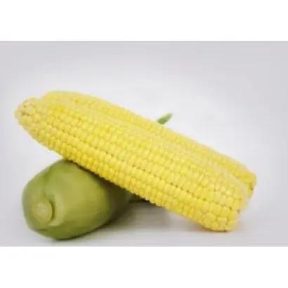 Fragman / Фрагман