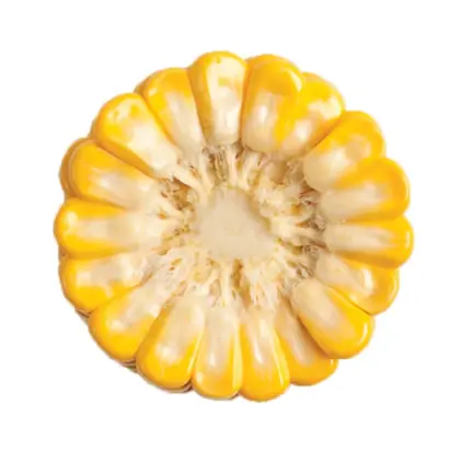 GSS 8529 F1 / ГСС 8529 F1